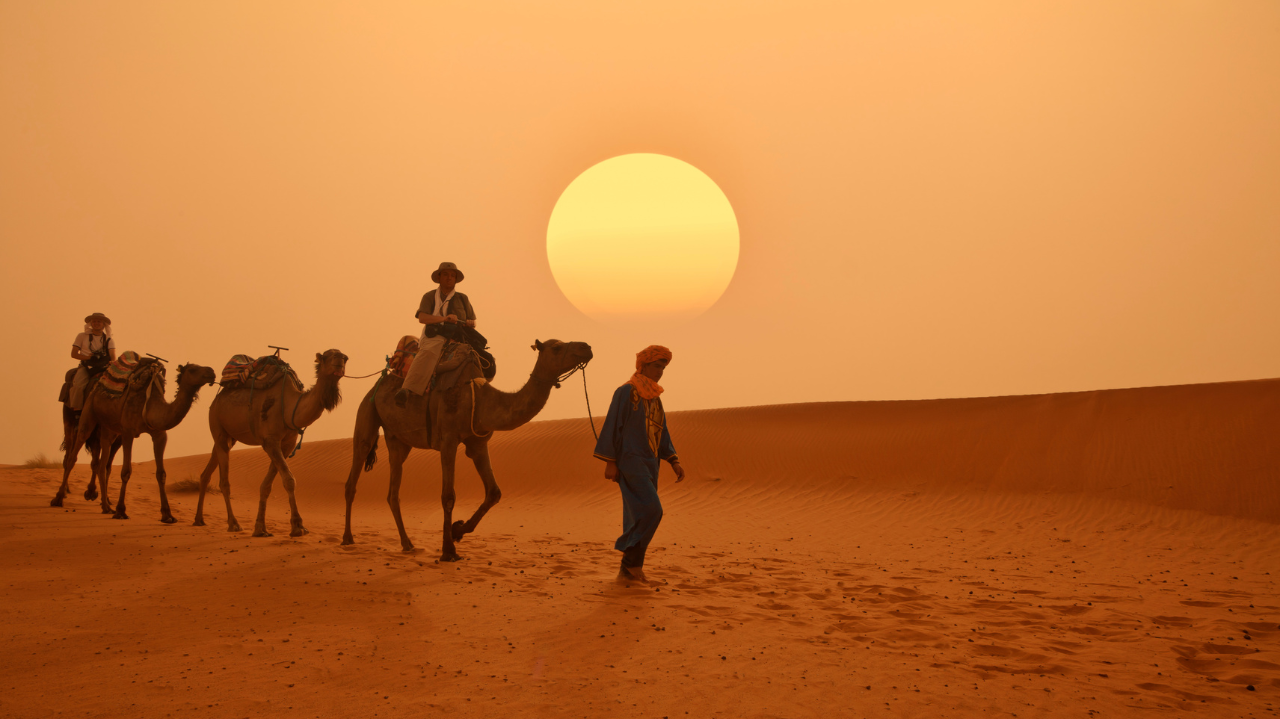 kiwimaroc