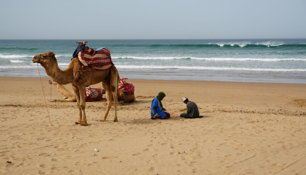 agadir sightseeing tours
